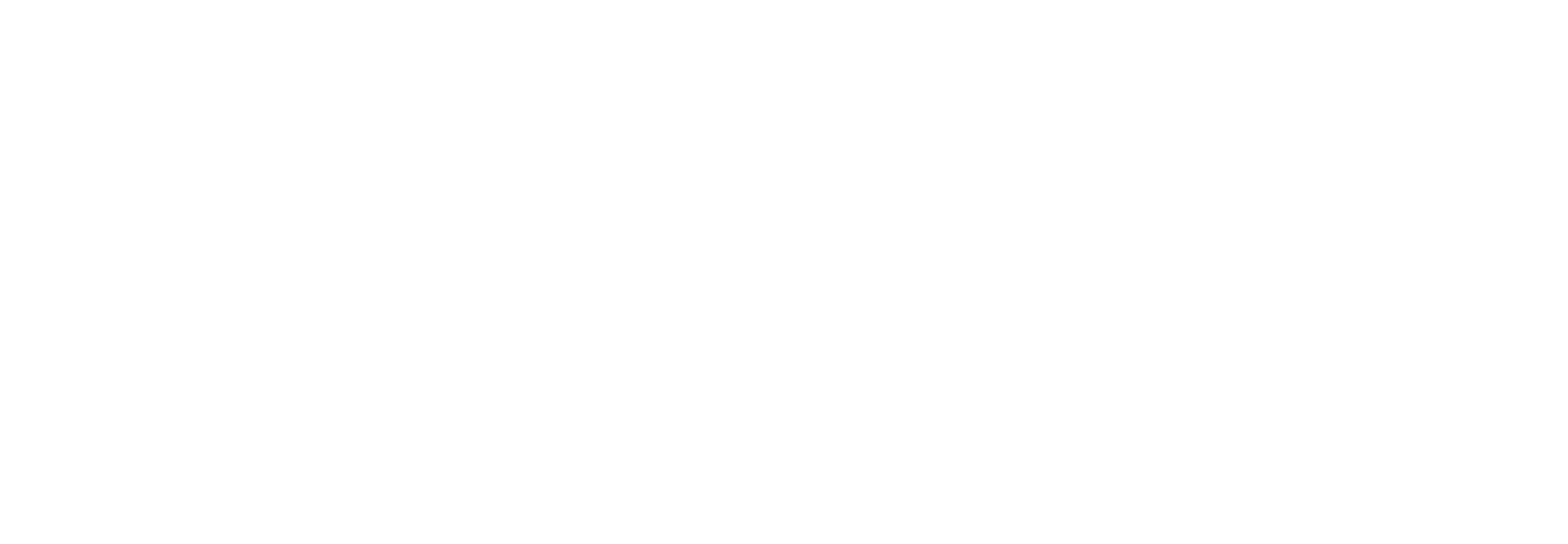 White wordmark logo